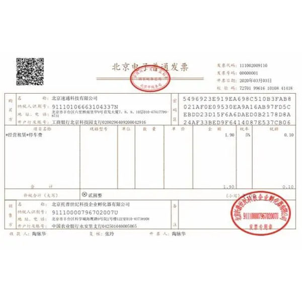 發(fā)票樣式 發(fā)票樣式