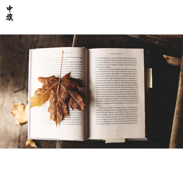 印刷許可證背后的故事：如何影響文學作品出版