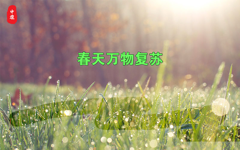 春天萬物復蘇的季節(jié) 春天萬物復蘇的季節(jié)