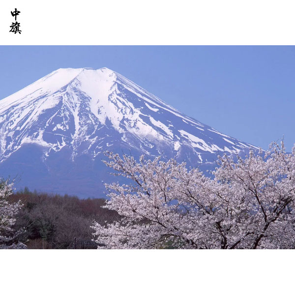 北京入境旅游旅行社設(shè)立與運(yùn)營(yíng)方案