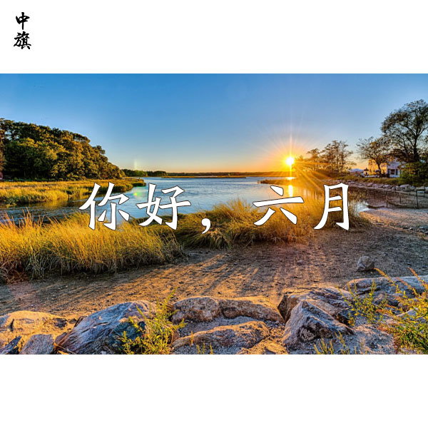 2024年行業(yè)前景預(yù)期，已經(jīng)6月份了是否有回暖現(xiàn)象