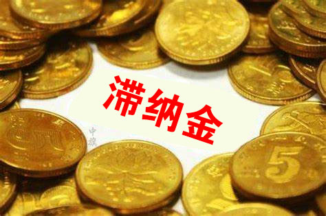 如果超過(guò)30天就需要補(bǔ)交滯納金了.jpg 如果超過(guò)30天就需要補(bǔ)交滯納金了.jpg