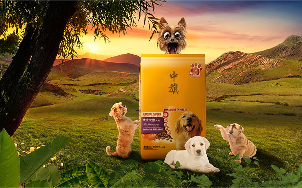 狗糧也要選一些大品牌，最起碼對咱們家的狗狗健康重要.jpg