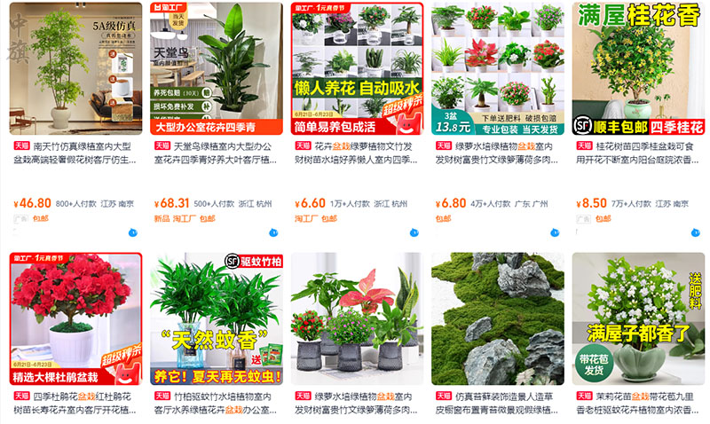 線上平臺(tái)買的盆栽看著還是不錯(cuò)的.jpg 線上平臺(tái)買的盆栽看著還是不錯(cuò)的.jpg