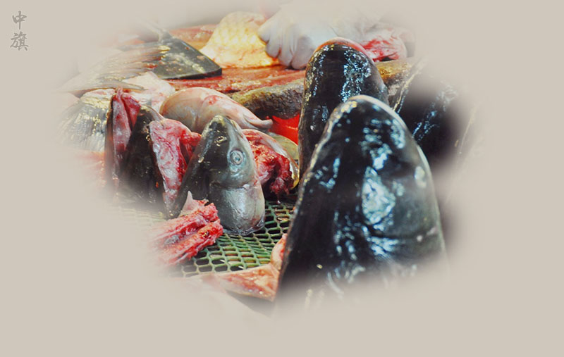 小旗家樓下賣魚的小哥處理的非常干凈.jpg 小旗家樓下賣魚的小哥處理的非常干凈.jpg