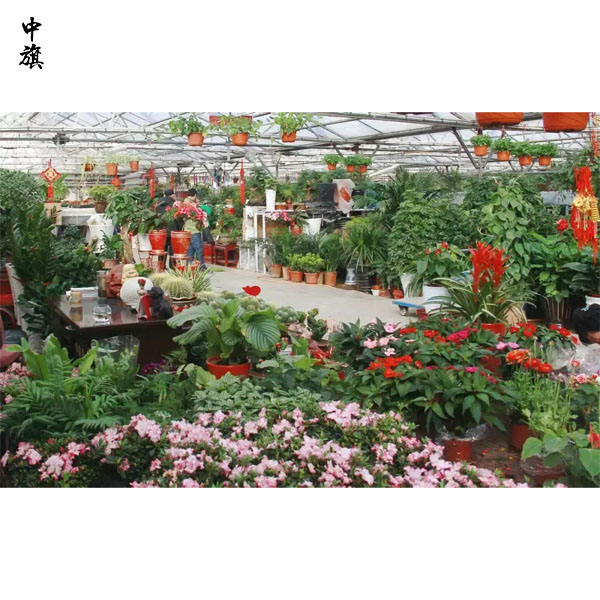 在北京開一家花鳥魚市場前景怎么樣？