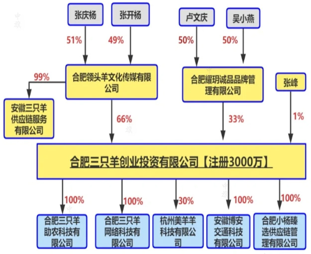 瘋狂小楊哥的主體公司.jpg 瘋狂小楊哥的主體公司.jpg