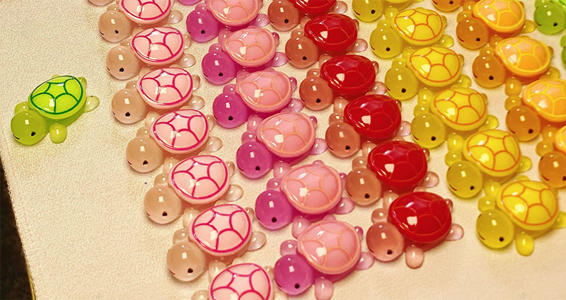 我的烏龜大軍 我的烏龜大軍