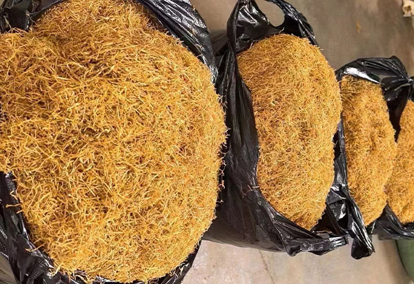 剛剛新下來的煙葉，看著質(zhì)量還是非常不錯(cuò)的