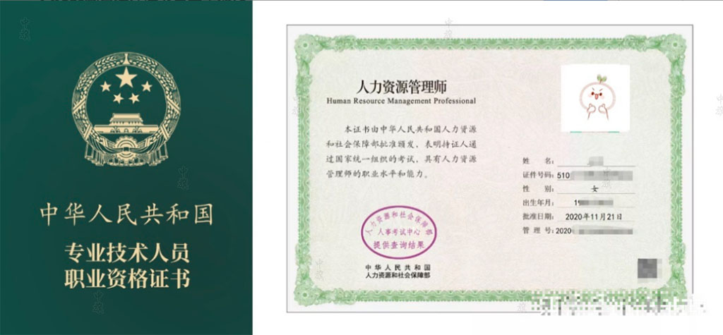 專業(yè)技術(shù)人員職業(yè)資格證書