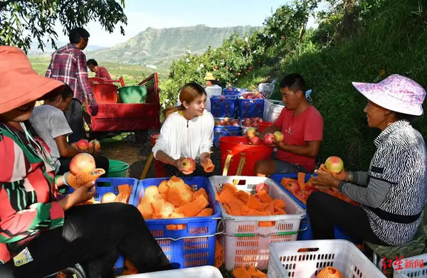 中國石榴之鄉(xiāng).jpg 中國石榴之鄉(xiāng).jpg