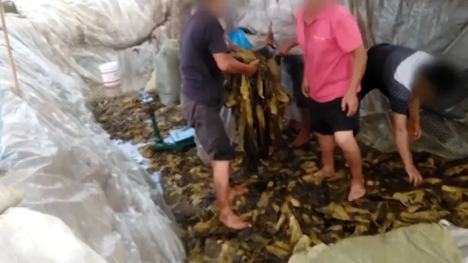 315曝光的土坑酸菜事件.jpg 315曝光的土坑酸菜事件.jpg