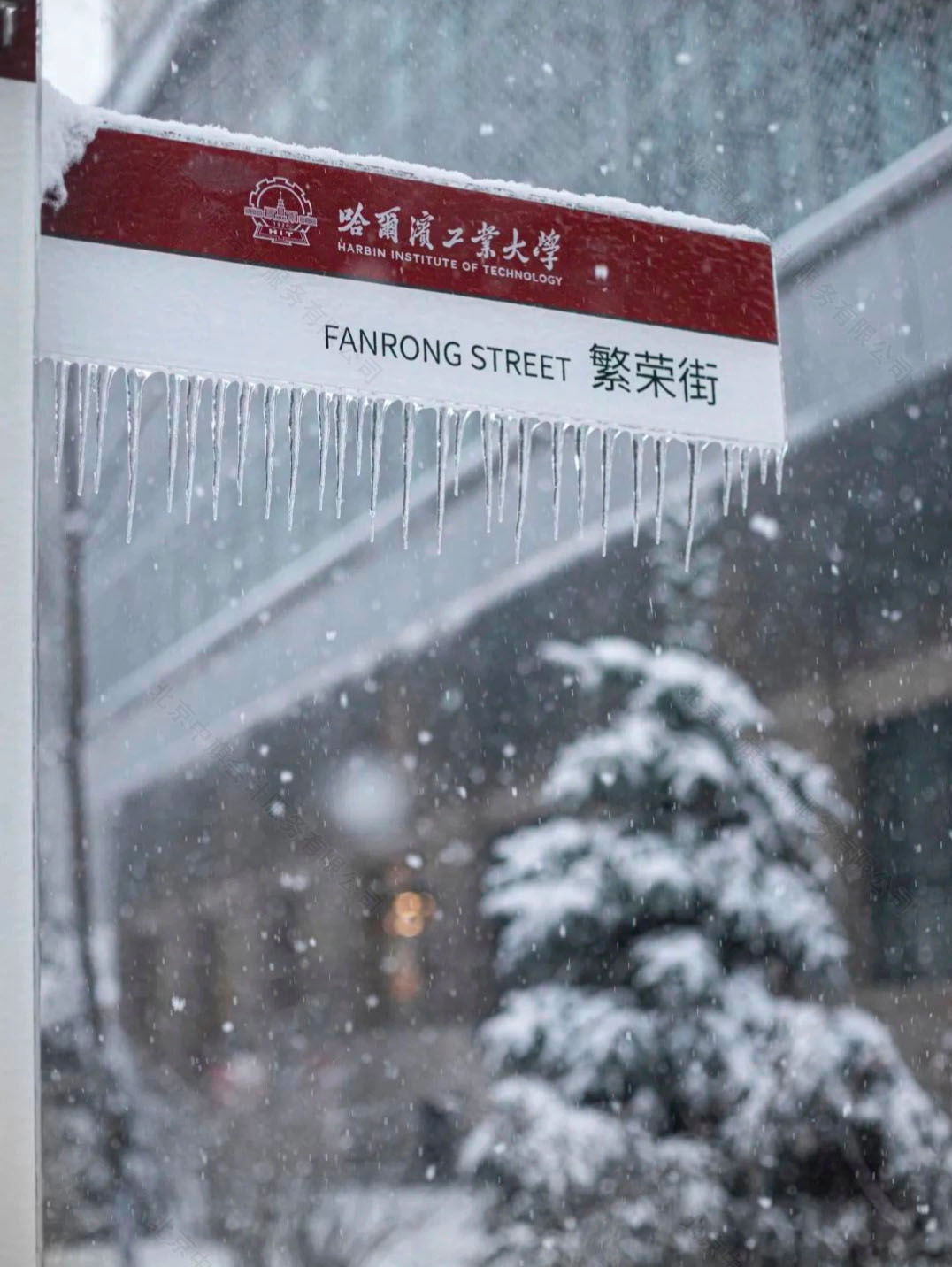 哈爾濱工業(yè)大學(xué)漂亮吧.jpg 哈爾濱工業(yè)大學(xué)漂亮吧.jpg