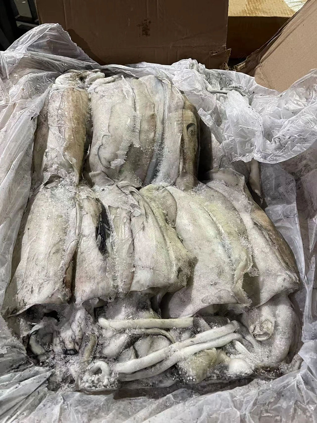 海關(guān)進(jìn)口海鮮.jpg 海關(guān)進(jìn)口海鮮.jpg