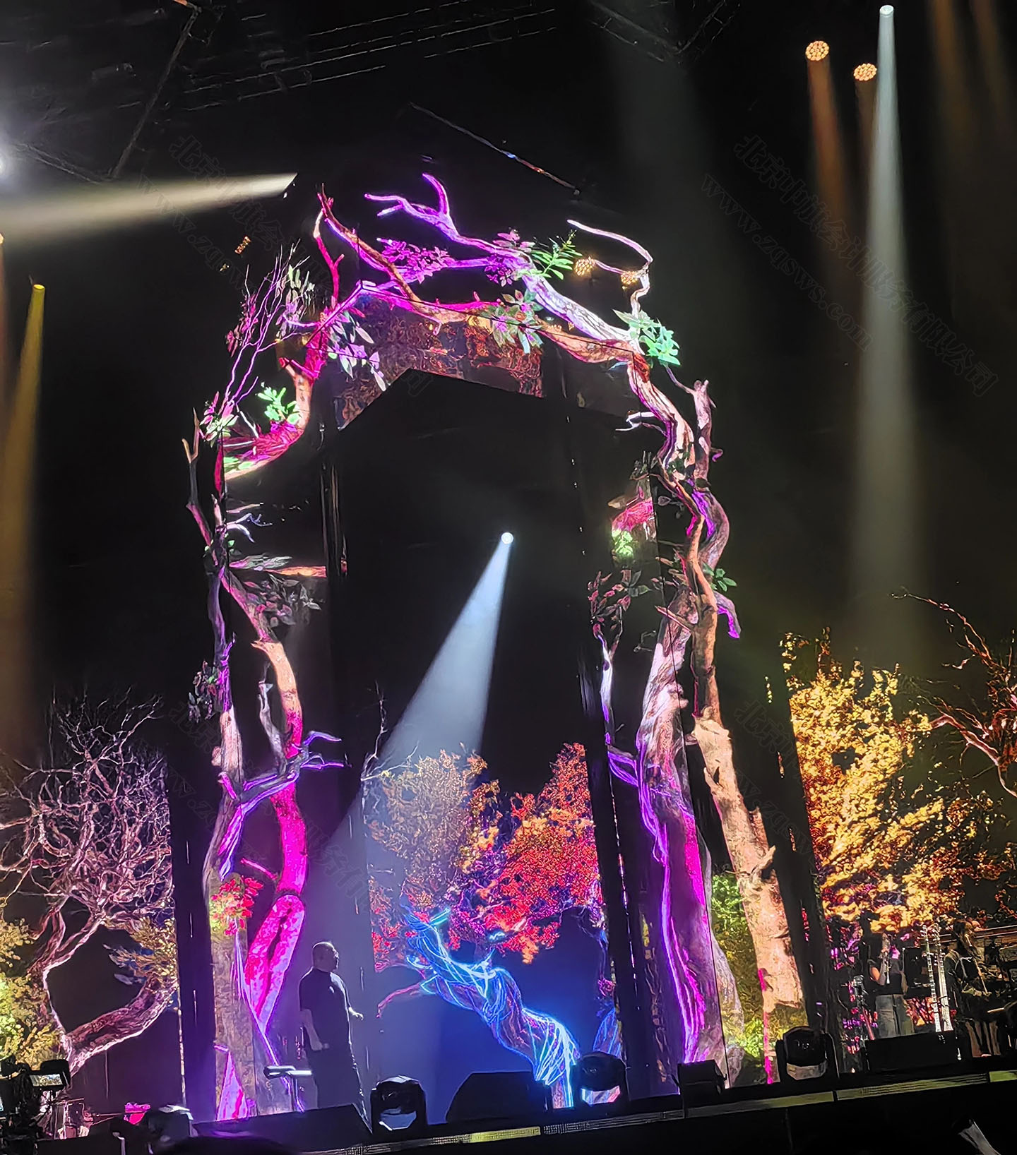 某位藝人自己的演唱會.jpg 某位藝人自己的演唱會.jpg