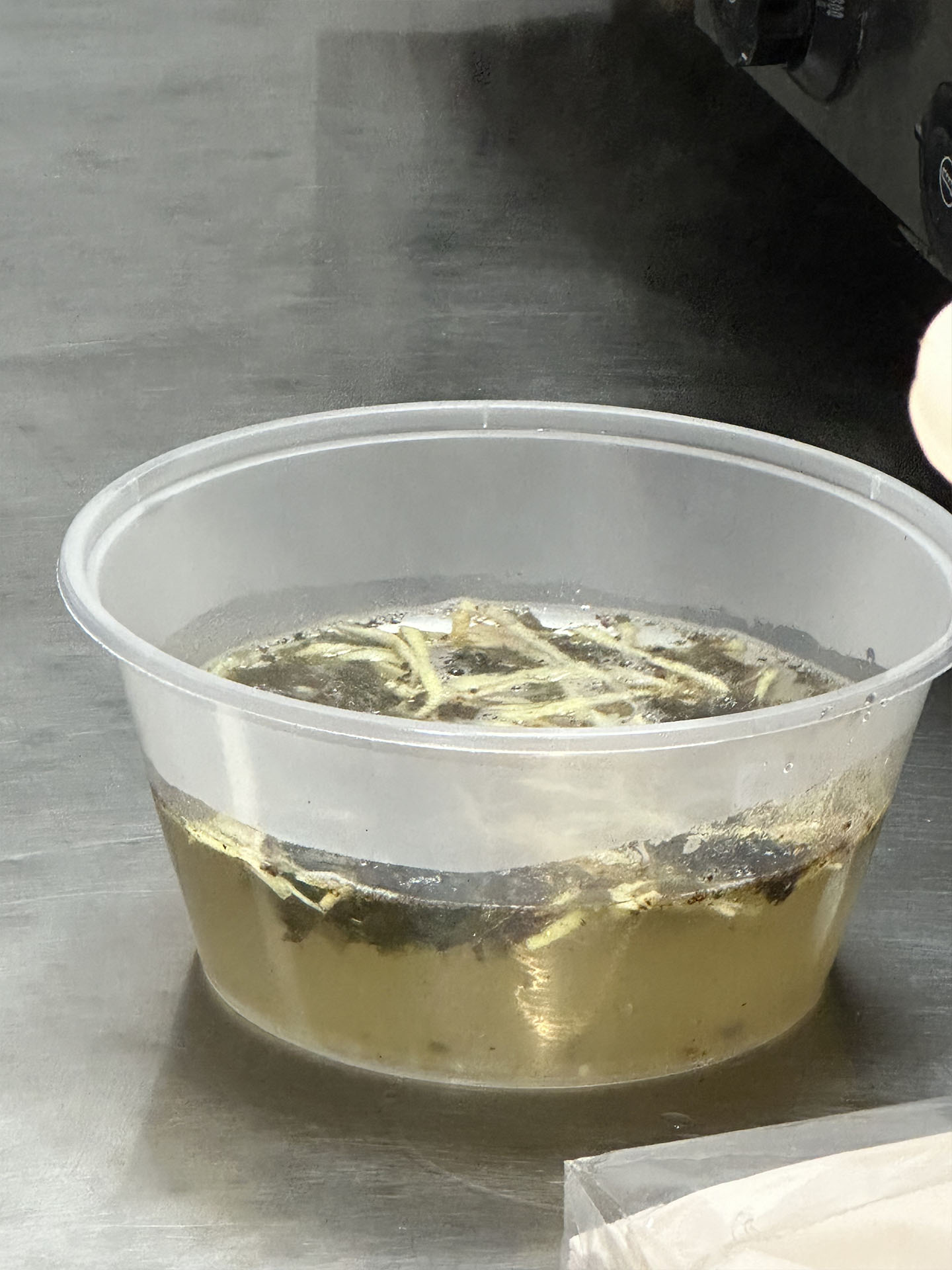 調(diào)好的餛飩湯.jpg 調(diào)好的餛飩湯.jpg