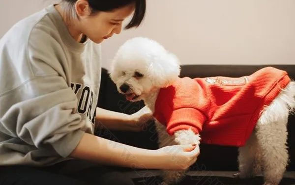 它經(jīng)濟(jì)現(xiàn)在比較火熱.jpg 它經(jīng)濟(jì)現(xiàn)在比較火熱.jpg