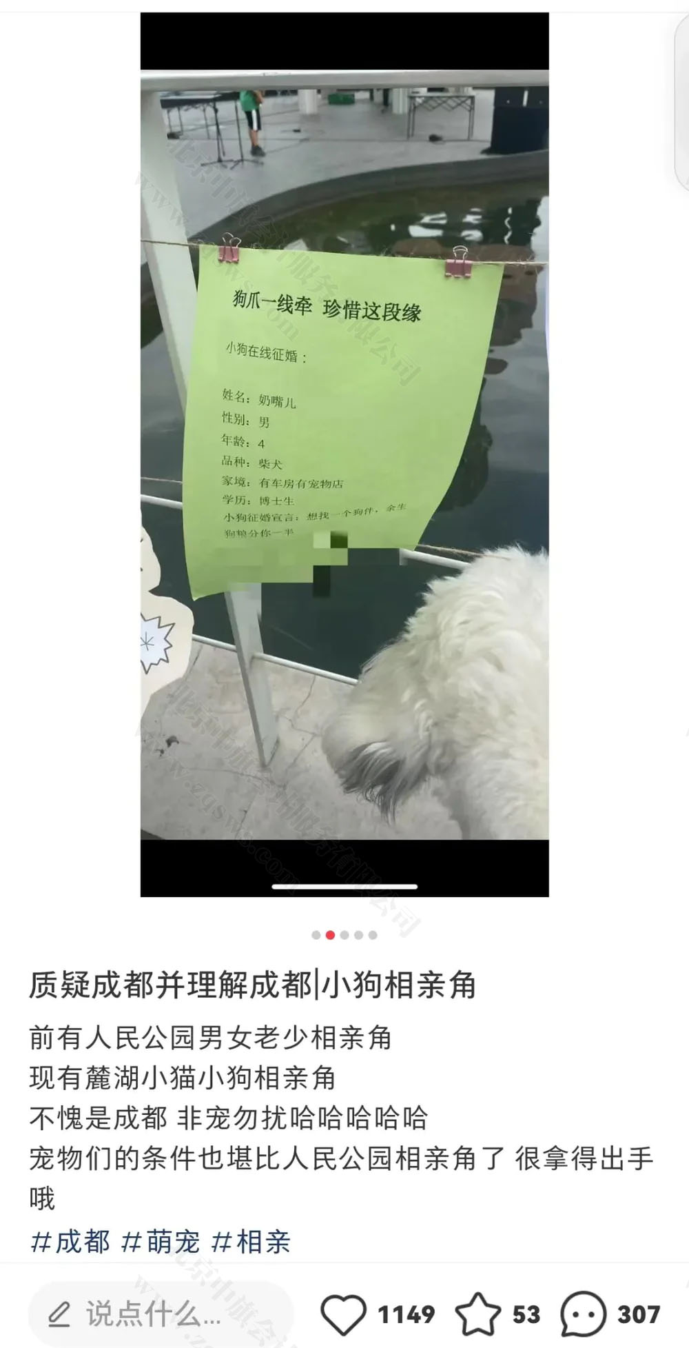 狗狗相親角.jpg 狗狗相親角.jpg