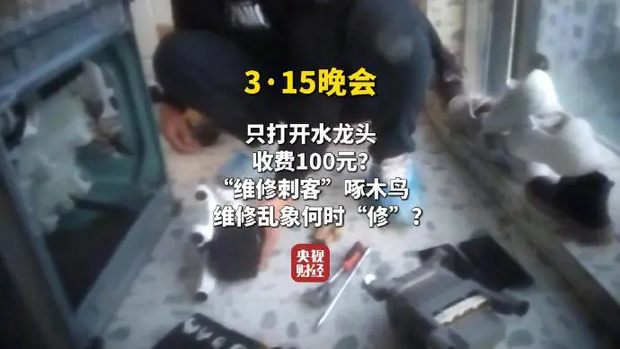 315晚會(huì)之維修刺客啄木鳥.png 315晚會(huì)之維修刺客啄木鳥.png