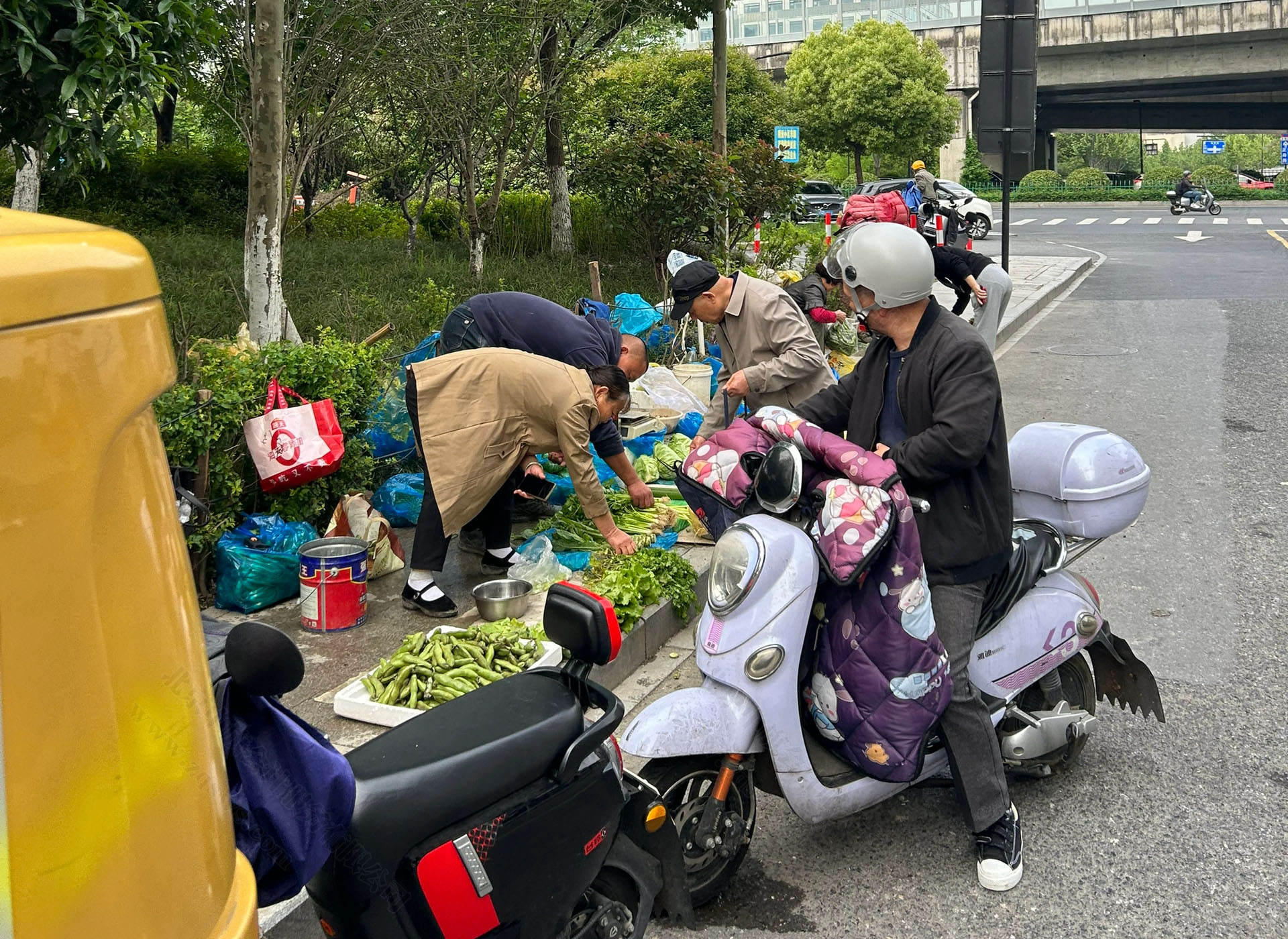 李阿姨現(xiàn)在每天都在街上賣菜.jpg 李阿姨現(xiàn)在每天都在街上賣菜.jpg