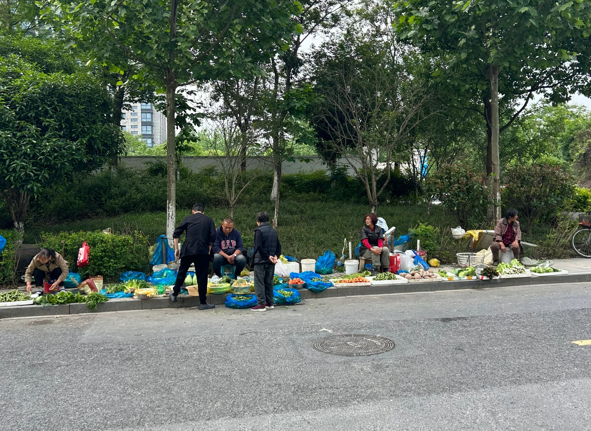 很多大爺大媽都在街邊賣菜閑不住.jpg 很多大爺大媽都在街邊賣菜閑不住.jpg