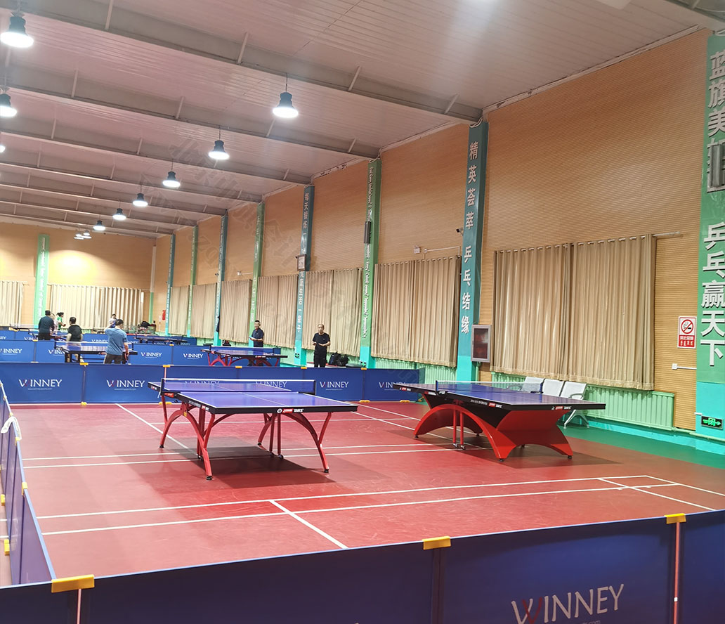 乒乓球館內(nèi)正在健身的小伙伴們.jpg 乒乓球館內(nèi)正在健身的小伙伴們.jpg