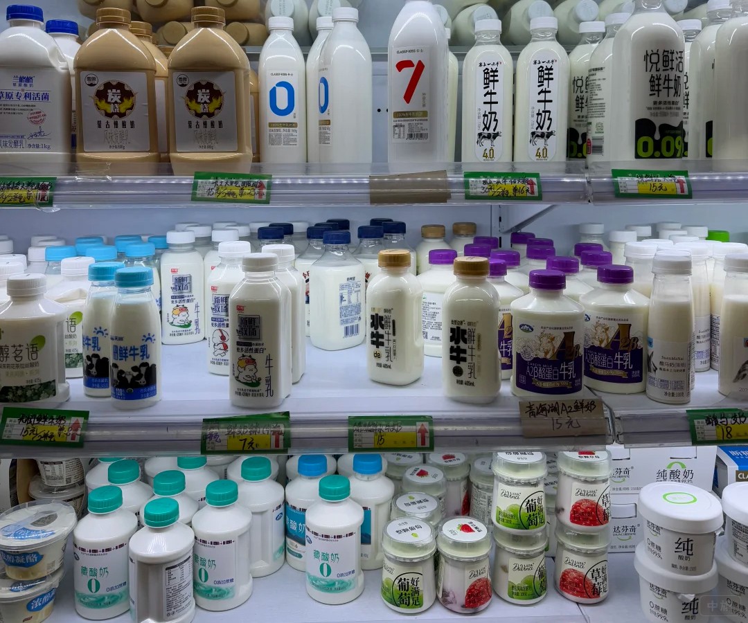 鮮牛奶、常溫奶，到酸奶、奶酪一應(yīng)俱全.jpg