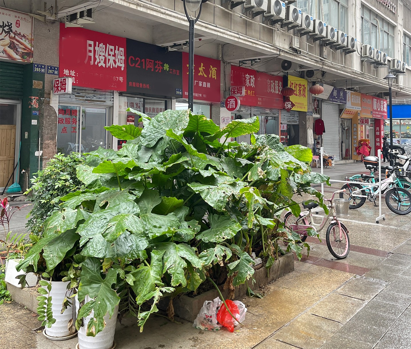 全是家政服務(wù).jpg 全是家政服務(wù).jpg