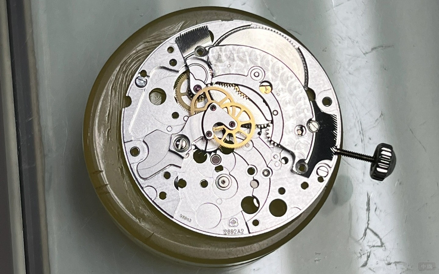 拆解到一半的手表.jpg