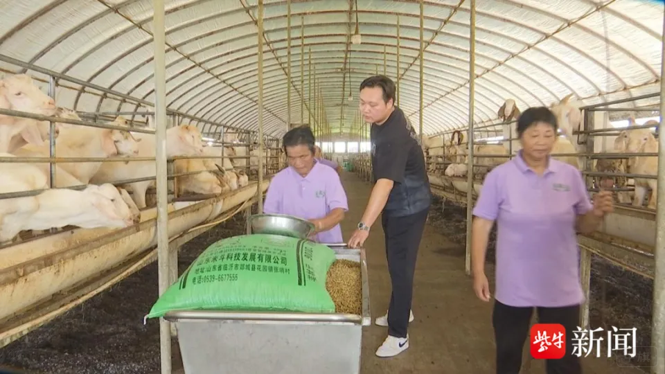 海安市南莫鎮(zhèn)朱樓村24歲的應(yīng)屆大學(xué)畢業(yè)生王俊杰（圖片來自新聞）