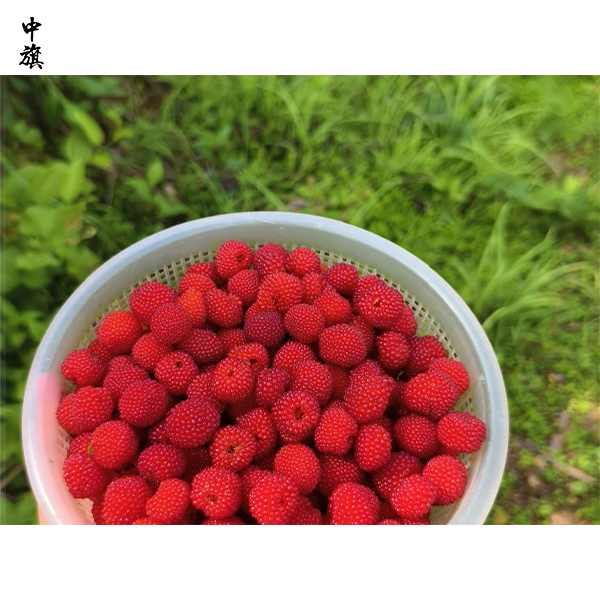 在農村創(chuàng)業(yè)應該如何融資？