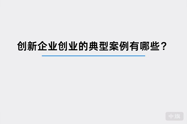創(chuàng)新企業(yè)創(chuàng)業(yè)的典型案例
