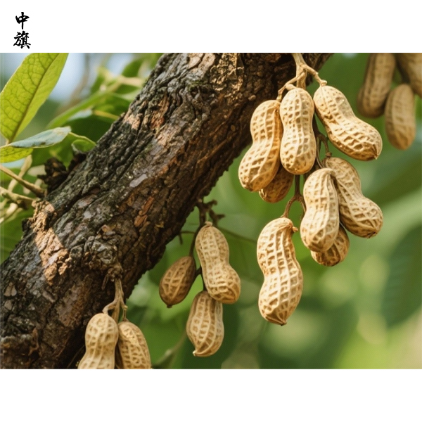 良品鋪子一張錯誤海報為何引爭議？