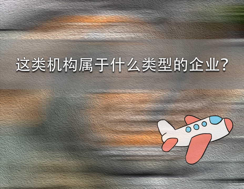 這類機(jī)構(gòu)屬于什么類型的企業(yè)？