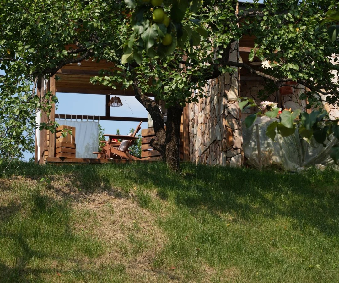 八月初拍的照片民宿照片，外景看著非常舒服