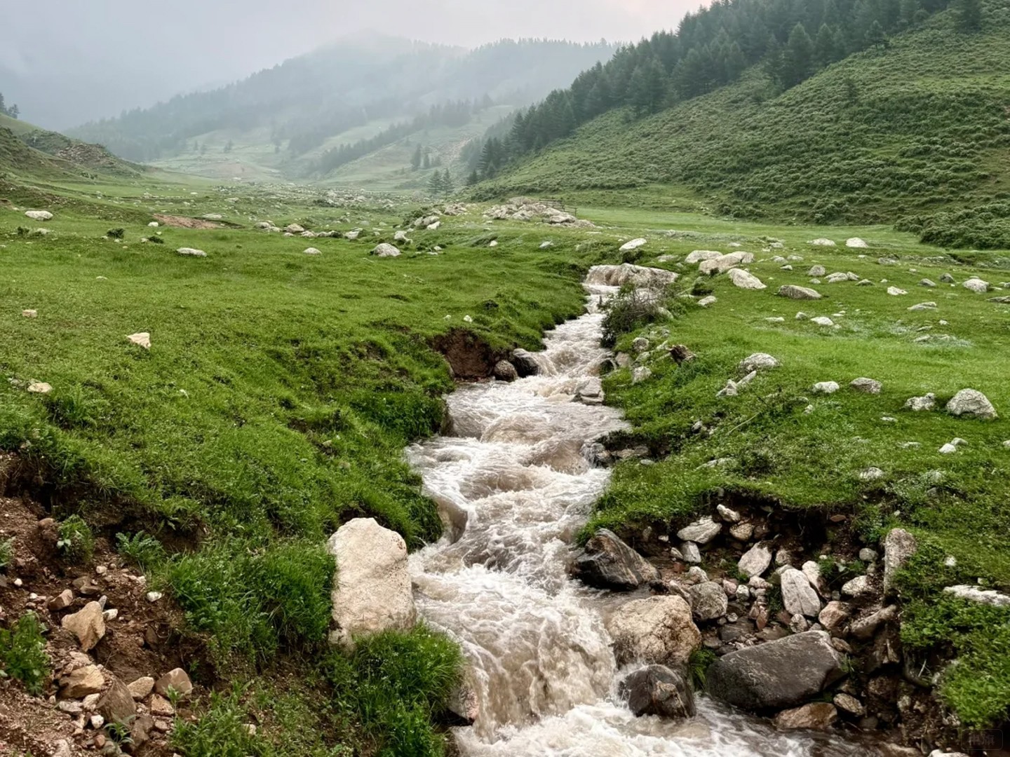 蘆茅山這風景不錯吧？