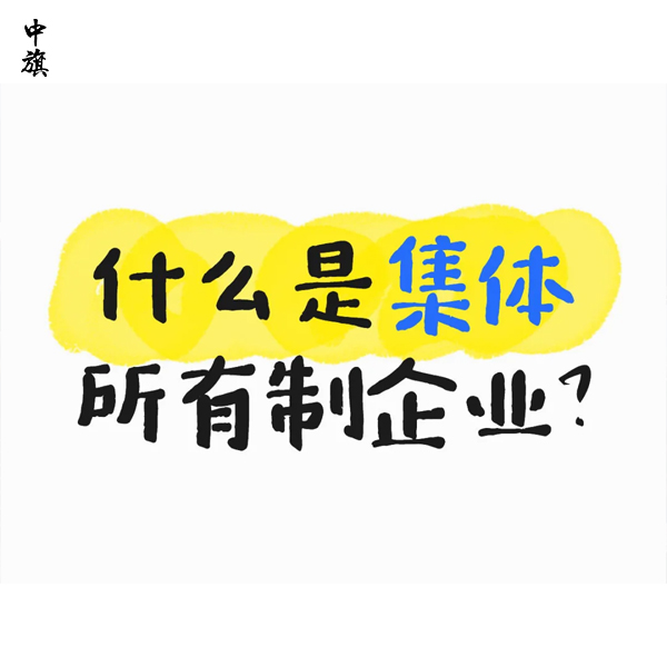 什么是集體所有制企業(yè)？